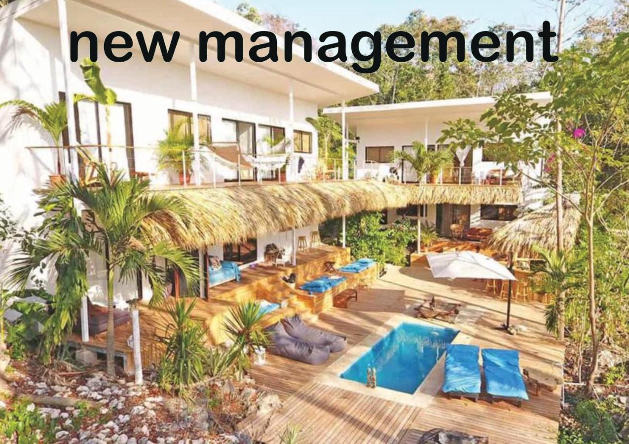 La Sana Surf Hotel - New Management Playa Santa Teresa (Puntarenas) Exterior photo